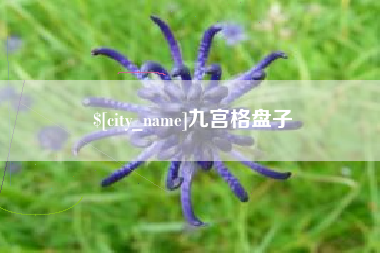 盱眙九宫格盘子