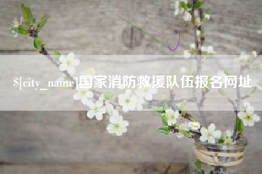 盱眙国家消防救援队伍报名网址