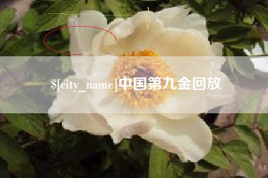 盱眙中国第九金回放