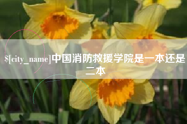 盱眙中国消防救援学院是一本还是二本