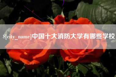 盱眙中国十大消防大学有哪些学校