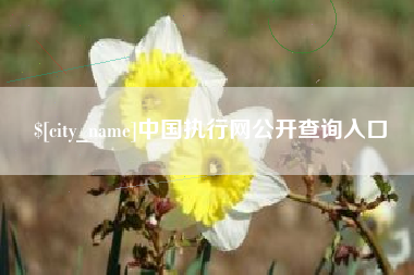 盱眙中国执行网公开查询入口