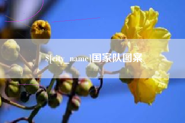 盱眙国家队图案