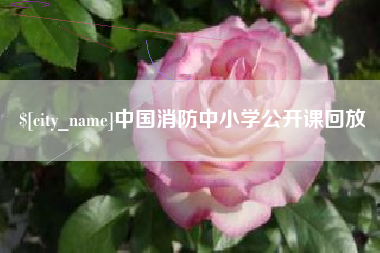 盱眙中国消防中小学公开课回放