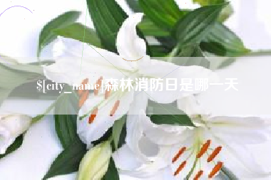 盱眙森林消防日是哪一天