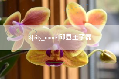 盱眙邱县王子磊