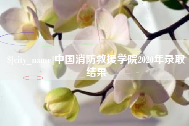 盱眙中国消防救援学院2020年录取结果