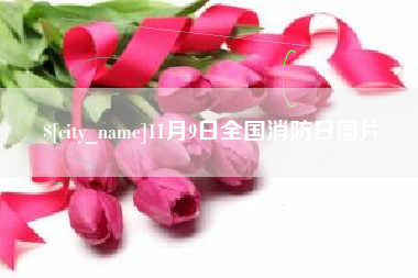 盱眙11月9日全国消防日图片