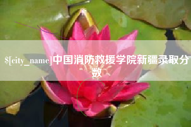 盱眙中国消防救援学院新疆录取分数