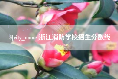 盱眙浙江消防学校招生分数线