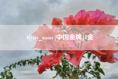 盱眙中国金牌18金