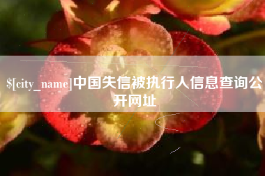 盱眙中国失信被执行人信息查询公开网址