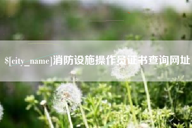 盱眙消防设施操作员证书查询网址