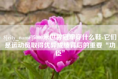 盱眙5000米世界冠军穿什么鞋-它们是运动员取得优异成绩背后的重要“功臣”