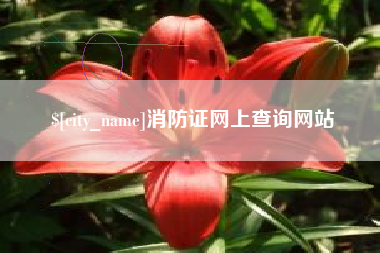 盱眙消防证网上查询网站