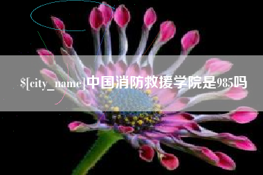盱眙中国消防救援学院是985吗