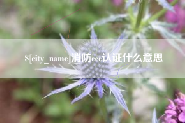 盱眙消防ccc认证什么意思