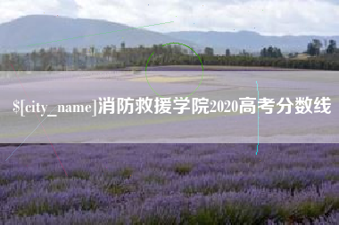 盱眙消防救援学院2020高考分数线