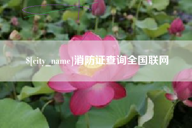 盱眙消防证查询全国联网