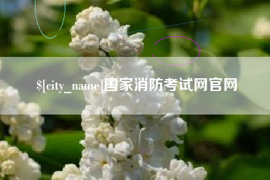 盱眙国家消防考试网官网