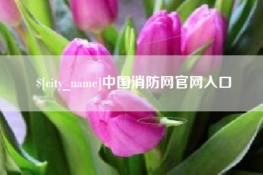 盱眙中国消防网官网入口