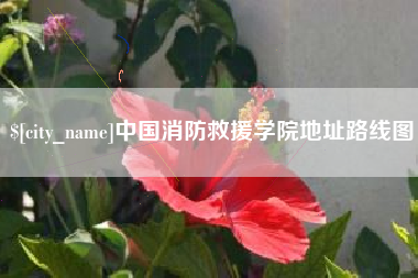 盱眙中国消防救援学院地址路线图