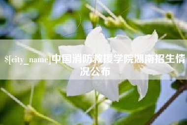 盱眙中国消防救援学院湖南招生情况公布