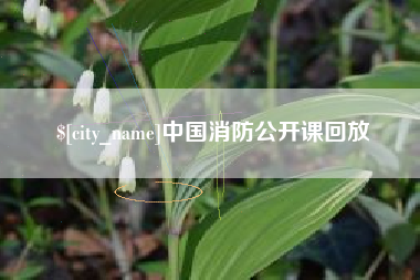 盱眙中国消防公开课回放