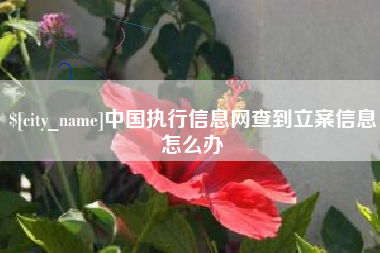 盱眙中国执行信息网查到立案信息怎么办