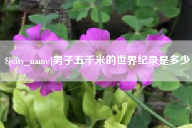 盱眙男子五千米的世界纪录是多少