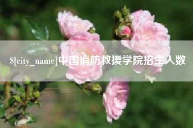 盱眙中国消防救援学院招生人数
