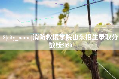 盱眙消防救援学院山东招生录取分数线2020