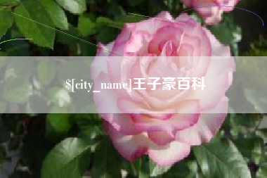 盱眙王子豪百科