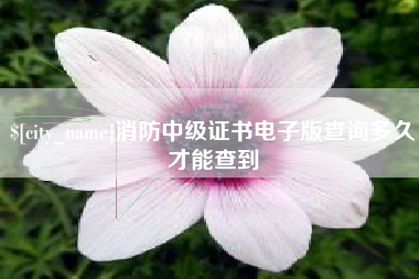 盱眙消防中级证书电子版查询多久才能查到