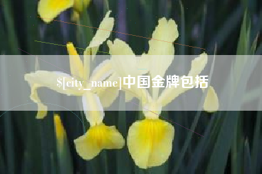 盱眙中国金牌包括