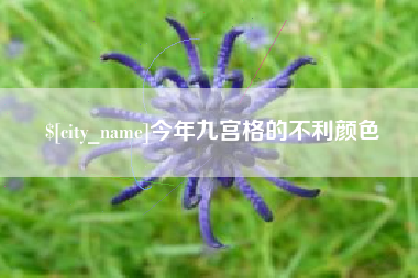 盱眙今年九宫格的不利颜色