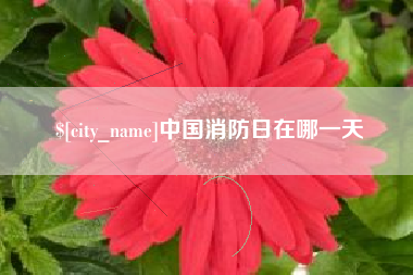 盱眙中国消防日在哪一天
