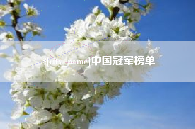 盱眙中国冠军榜单