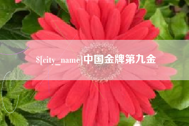 盱眙中国金牌第九金