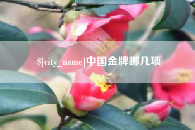 盱眙中国金牌哪几项
