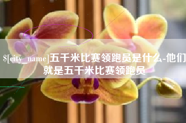 盱眙五千米比赛领跑员是什么-他们就是五千米比赛领跑员