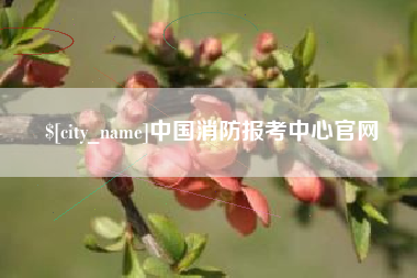 盱眙中国消防报考中心官网