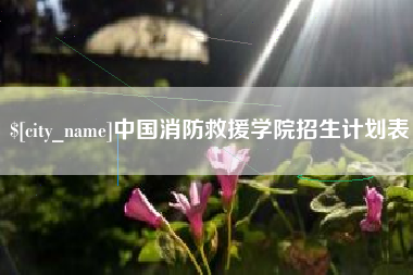 盱眙中国消防救援学院招生计划表