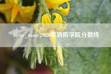 盱眙2020年消防学院分数线