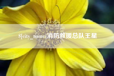 盱眙消防救援总队王星
