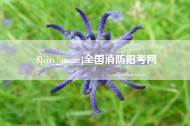 盱眙全国消防招考网