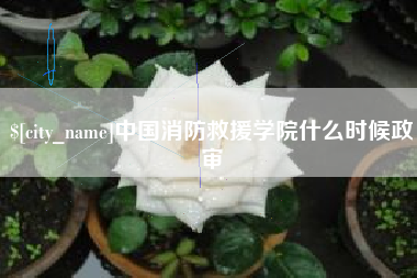 盱眙中国消防救援学院什么时候政审