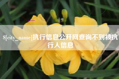 盱眙执行信息公开网查询不到被执行人信息