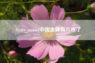 盱眙中国金牌有几枚了