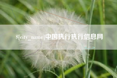 盱眙中国执行执行信息网